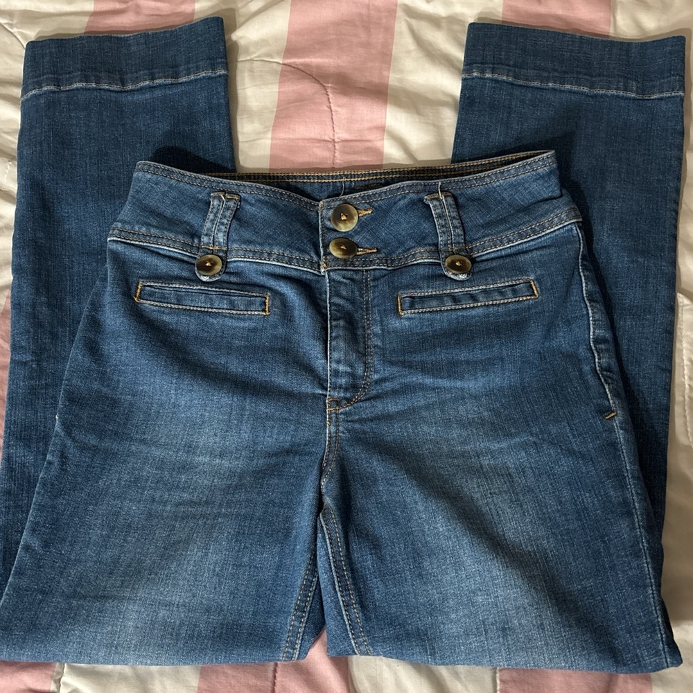 Anthropologie Blue Denim Jeans